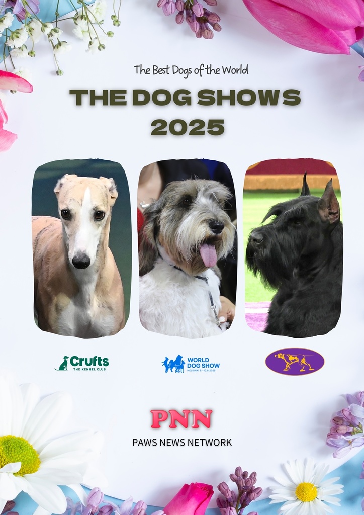 The Dog Shows 2025 日本語版