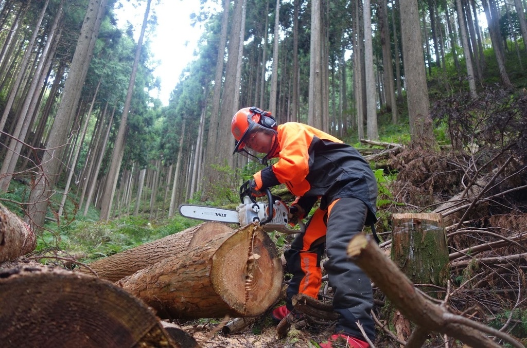 チェーンソー資格が取れる研修参加券
