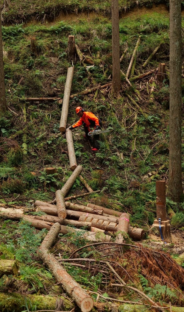 チェーンソー資格が取れる研修参加券