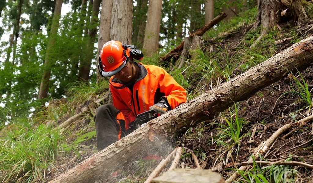 チェーンソー資格が取れる研修参加券