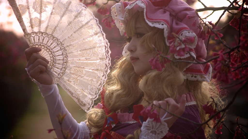 Вероника омнибус2016(Veronica総集編2016)