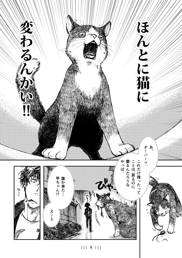 【匿名配送】IR20210604