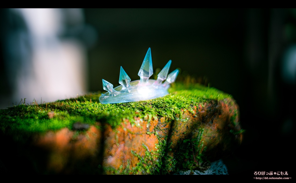 カスタムオーダー専用ページ