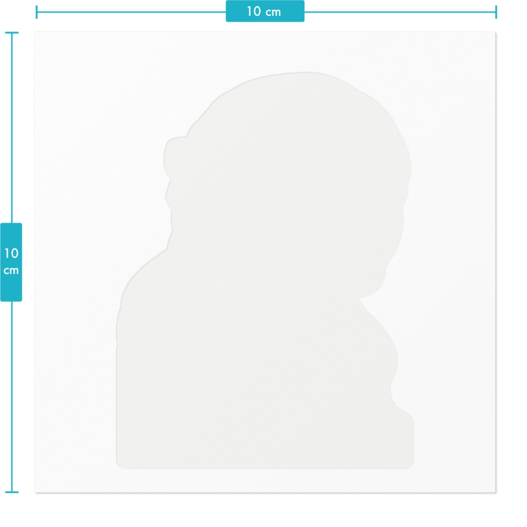 mnpnステッカー2