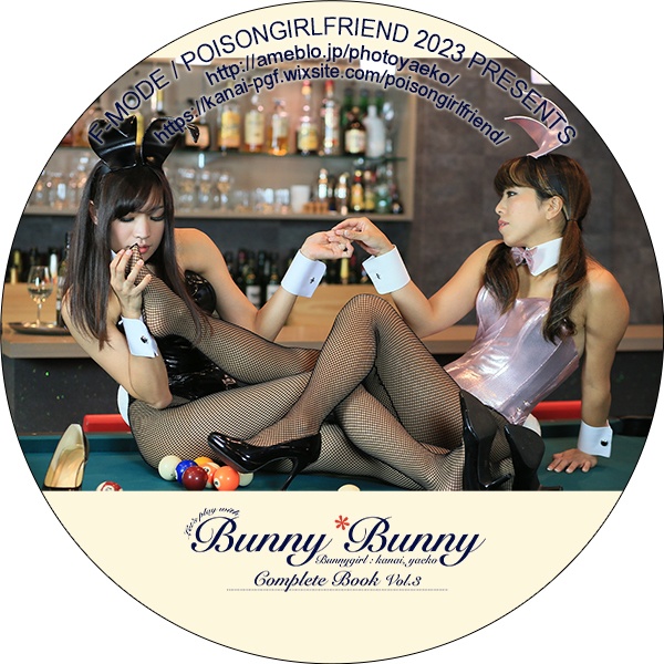 Bunny*Bunny Complete Book vol.3(バニーガール)