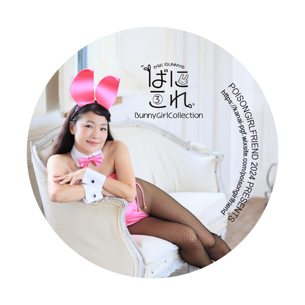 Bunny Girl Collection ばにこれ 1~3(バニーガール Bunny Girl)