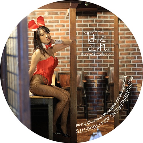 Bunny Girl Collection ばにこれ 1~3(バニーガール Bunny Girl)