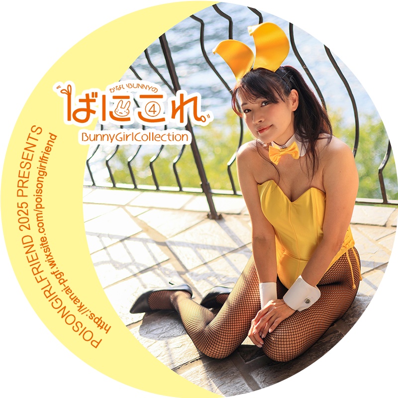 Bunny Girl Collection ばにこれ 4~6(バニーガール Bunny Girl)
