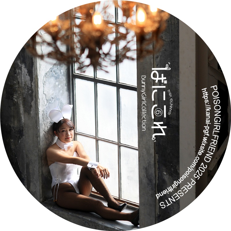 Bunny Girl Collection ばにこれ 4~6(バニーガール Bunny Girl)