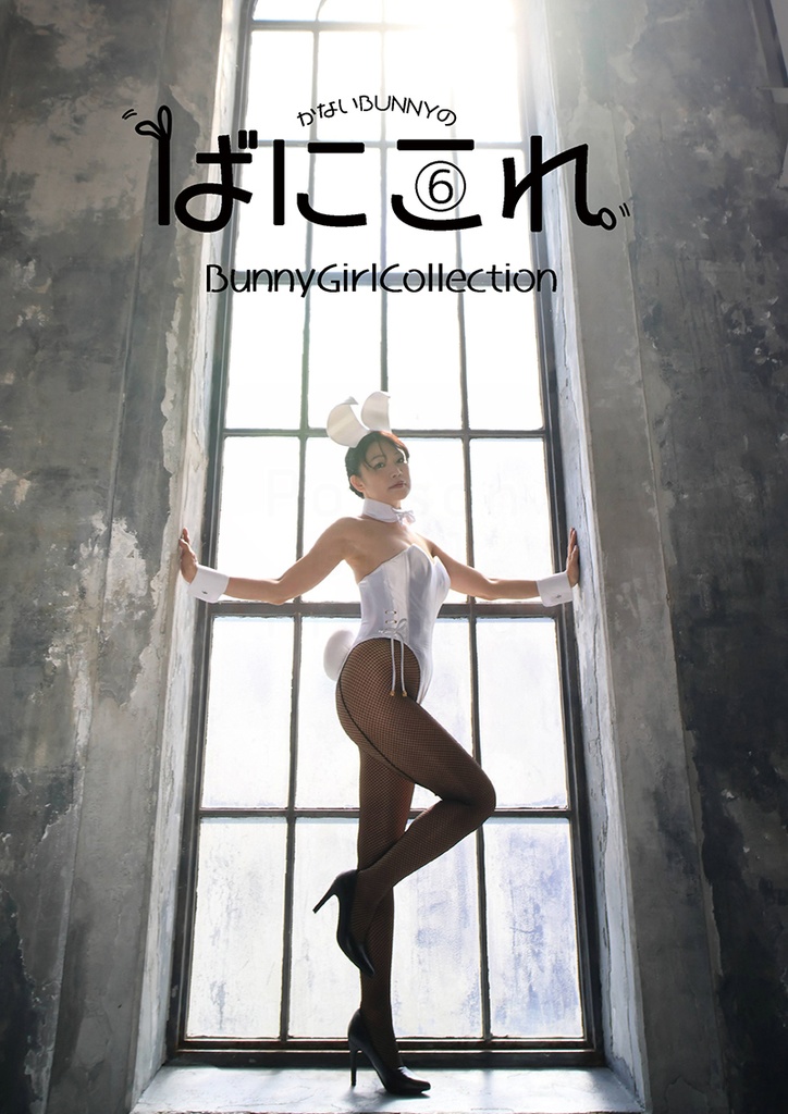 Bunny Girl Collection ばにこれ 4~6(バニーガール Bunny Girl)