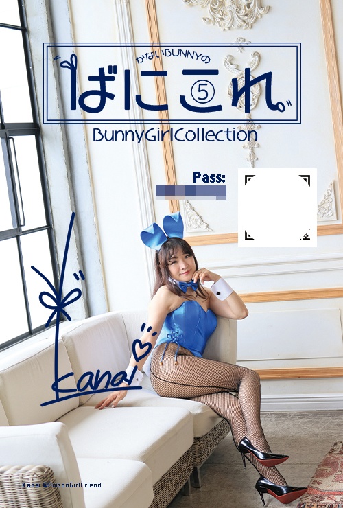 Bunny Girl Collection ばにこれ 4~6(バニーガール Bunny Girl)