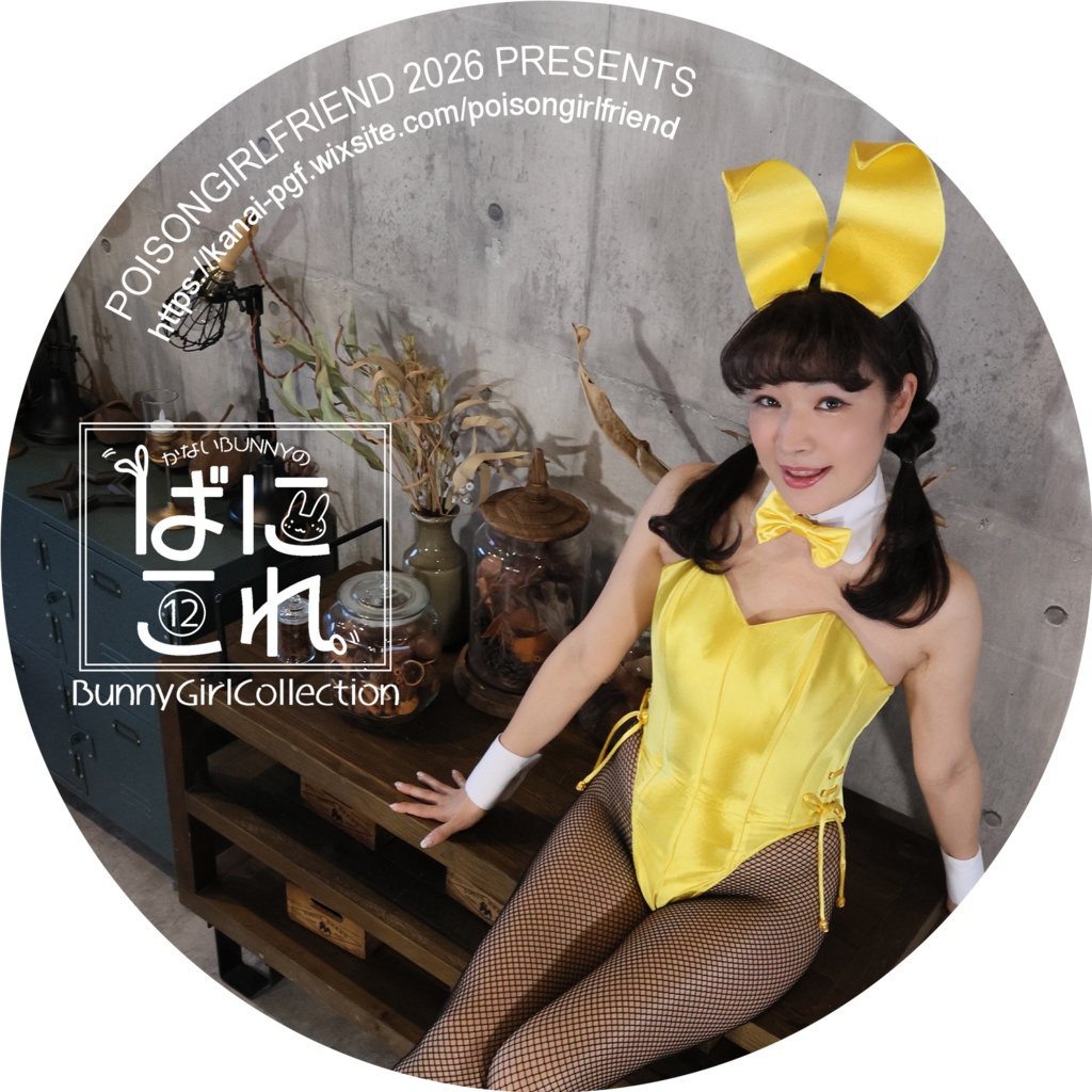 Bunny Girl Collection ばにこれ 10~12(バニーガール Bunny Girl)