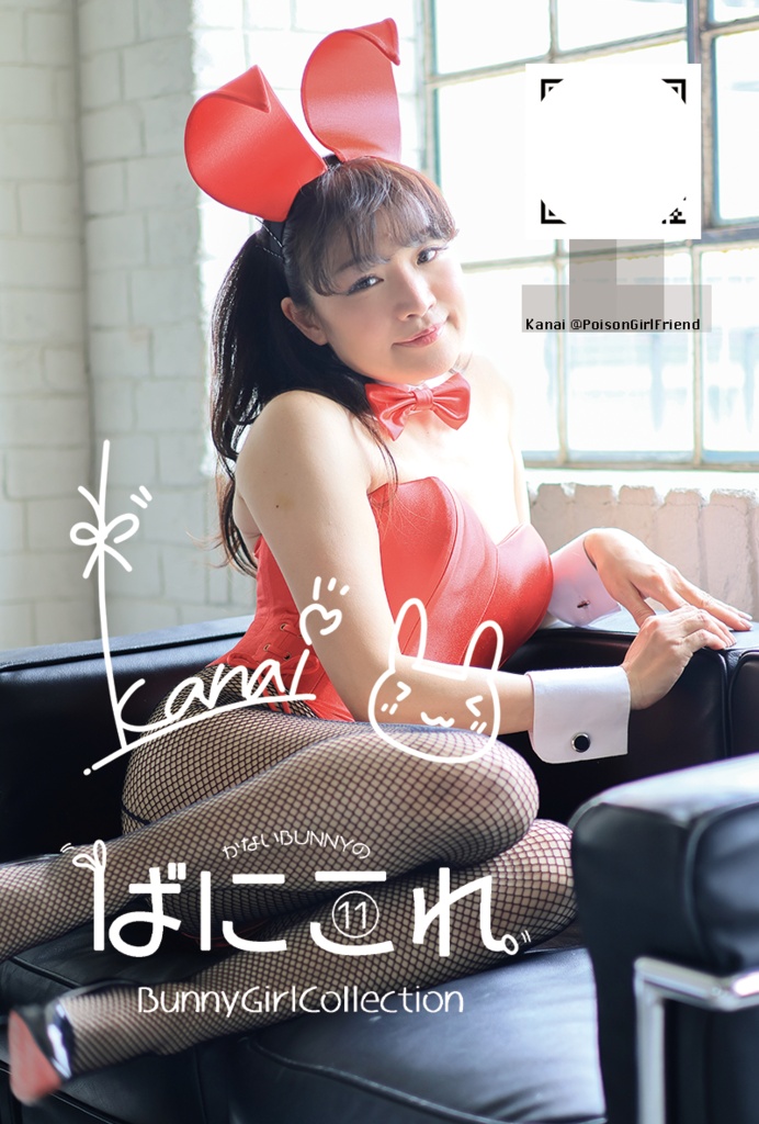 Bunny Girl Collection ばにこれ 10~12(バニーガール Bunny Girl)