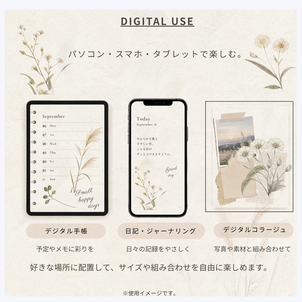 静かな四季 ― 秋の野辺|デジタルシール 12点セット|背景透過PNG・秋の草花