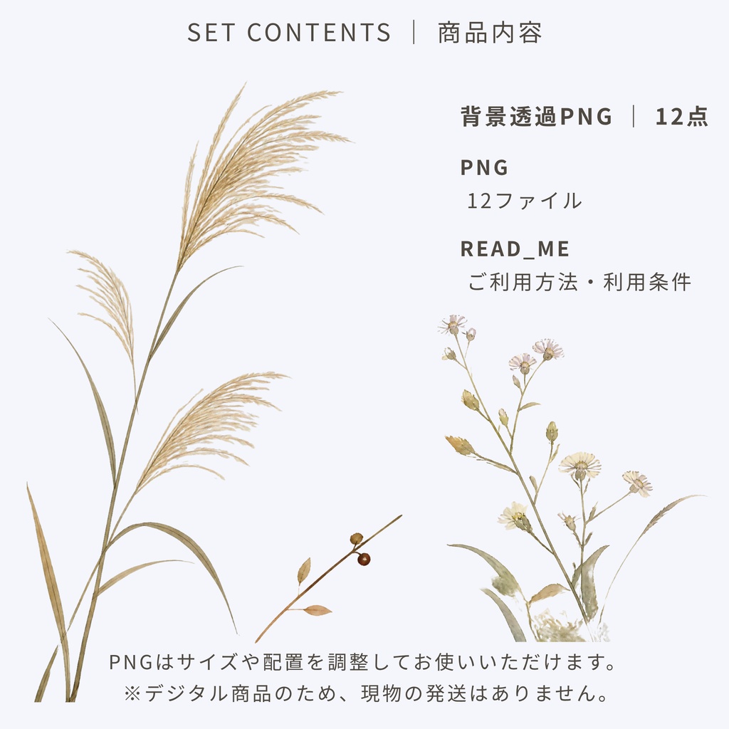 静かな四季 ― 秋の野辺|デジタルシール 12点セット|背景透過PNG・秋の草花