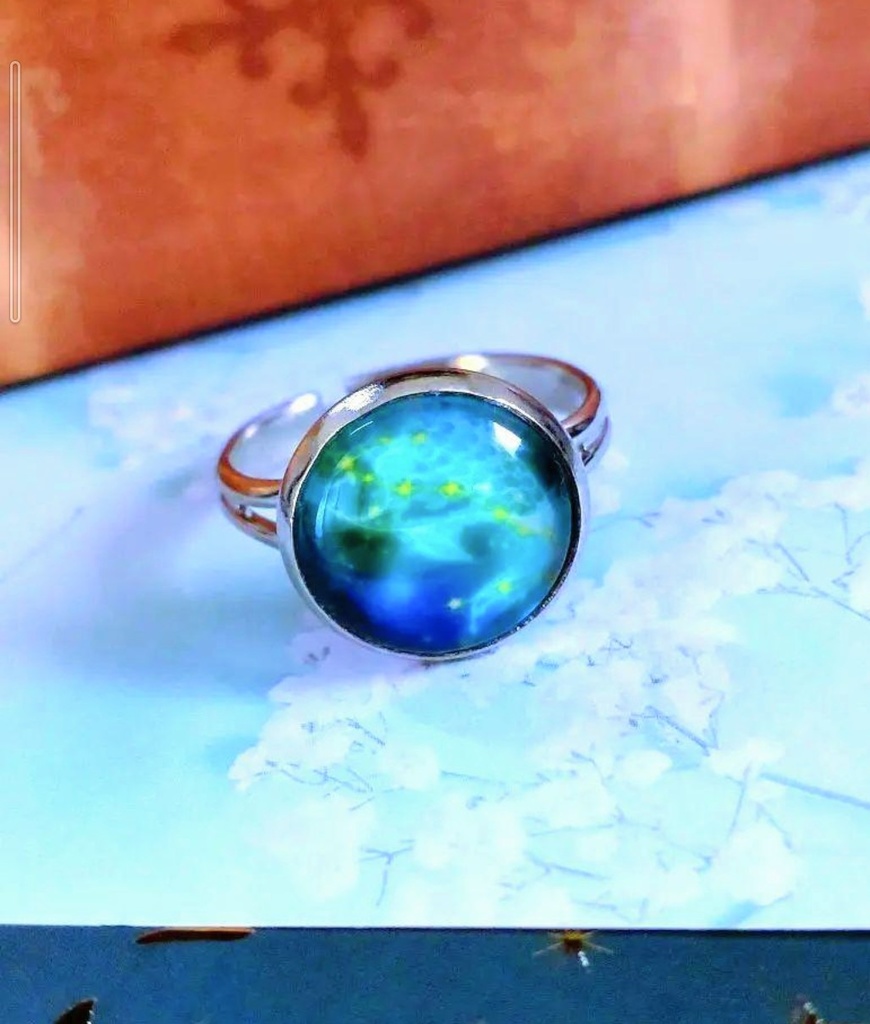 97暗闇で光る☆星座指輪リング♡ 魚座☆