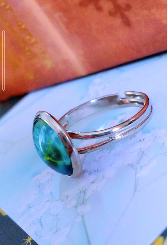 98暗闇で光る☆星座指輪リング♡ しし座