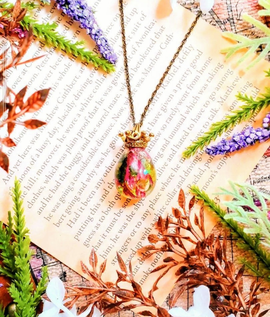 565【一点のみ販売♥】植物好きな貴方に