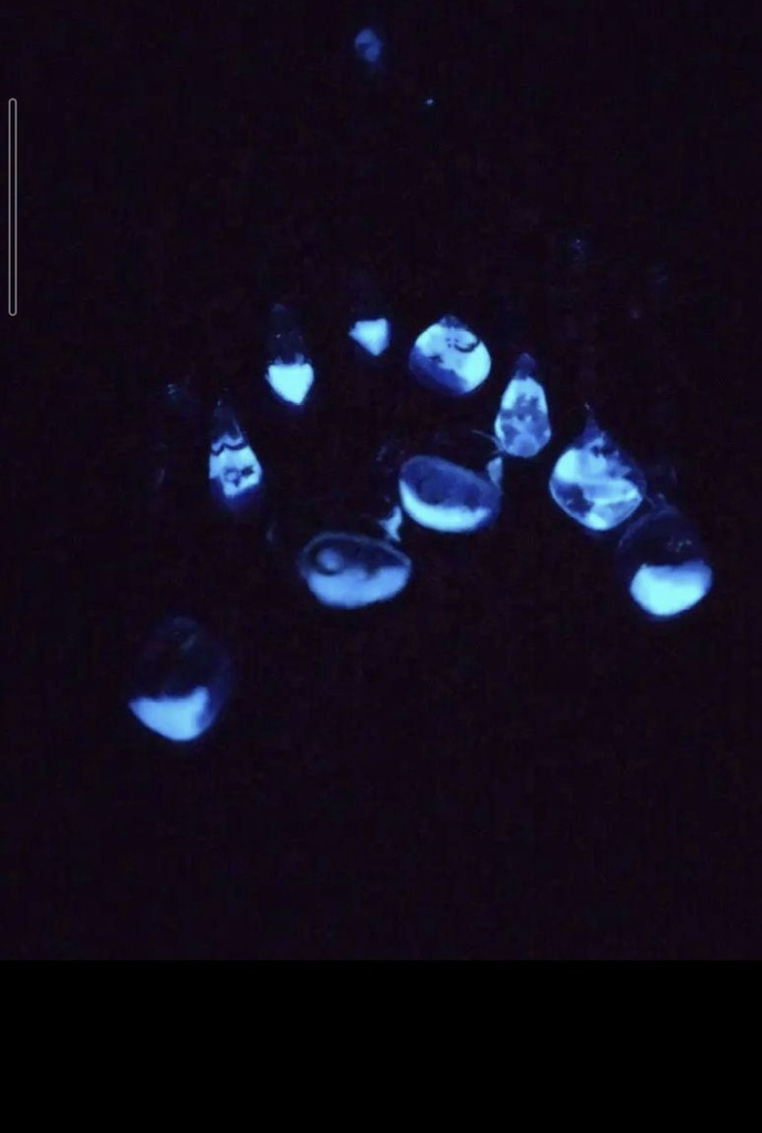 227蓄光☆光る☆空のイヤーカフ☆ハンドメイドアクセサリー