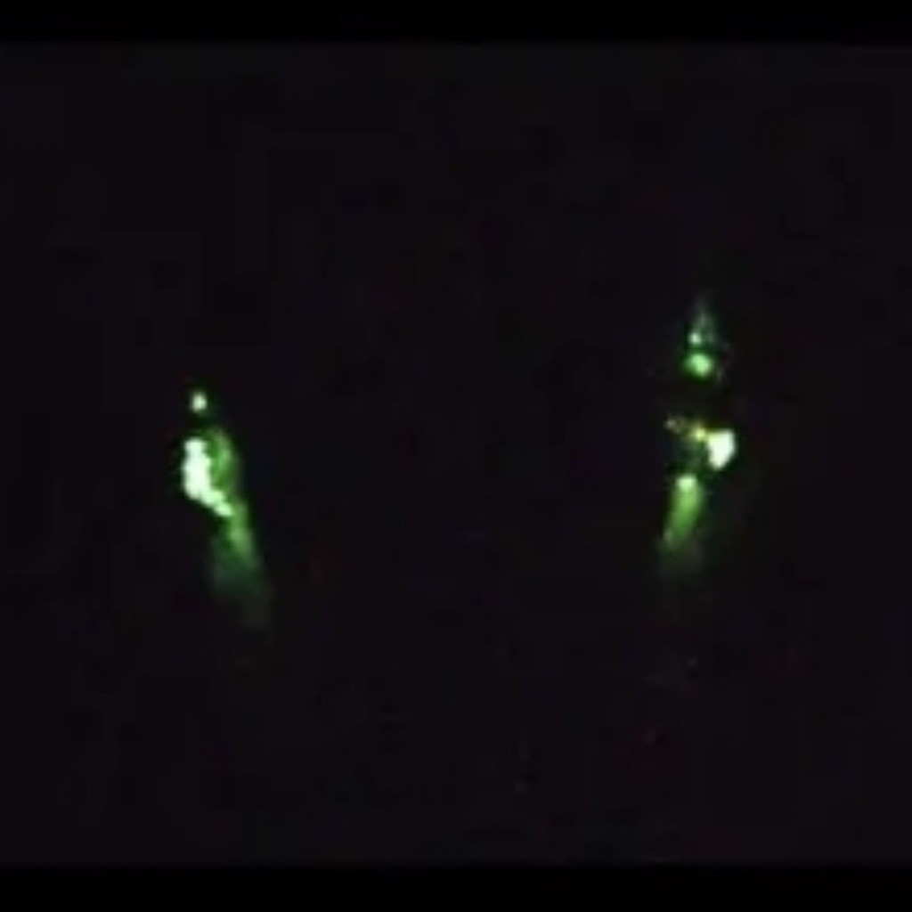 蓄光☆妖精翼龍アートドール ハンドメイドぬいぐるみ ドラゴン 龍神artdoll ArtDoll Fantasy Dragon人形