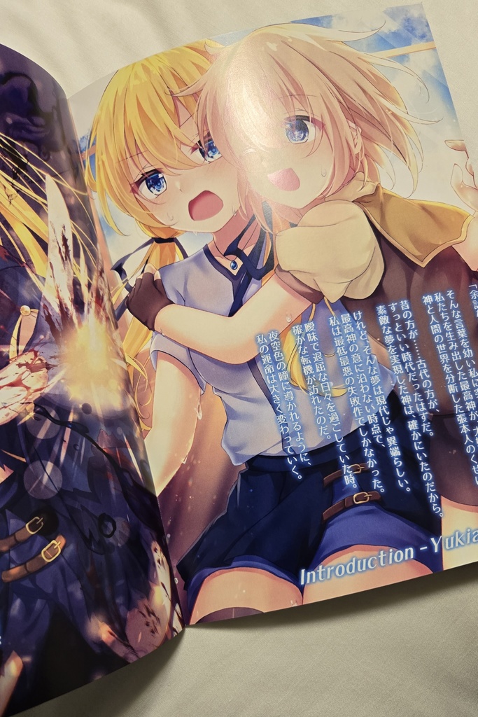 【イラスト集】Divine Memoria