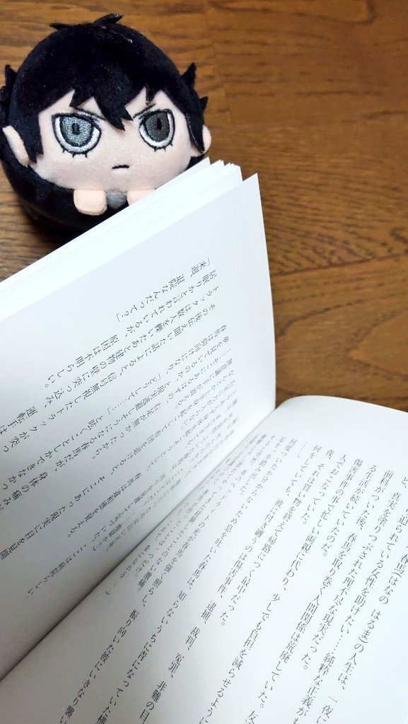 ぺご主が義足つける話