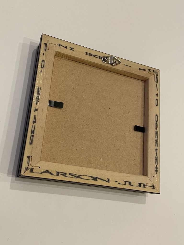 【額装原画】星月夜を宿す