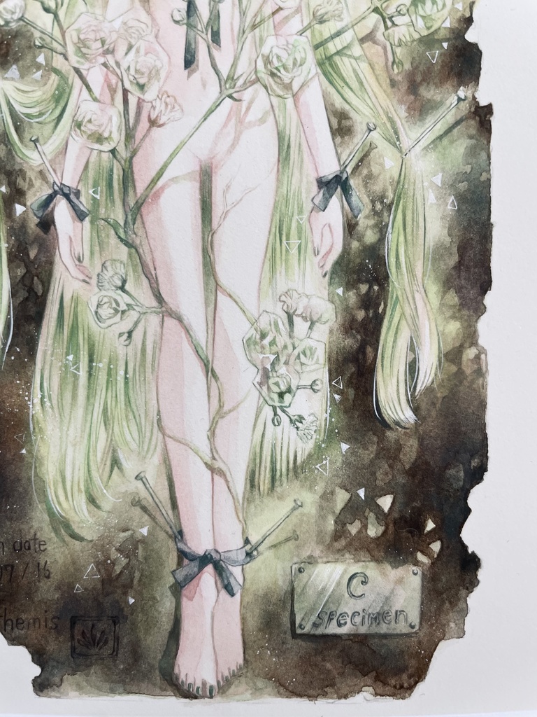 【額装原画】花人C -specimen-