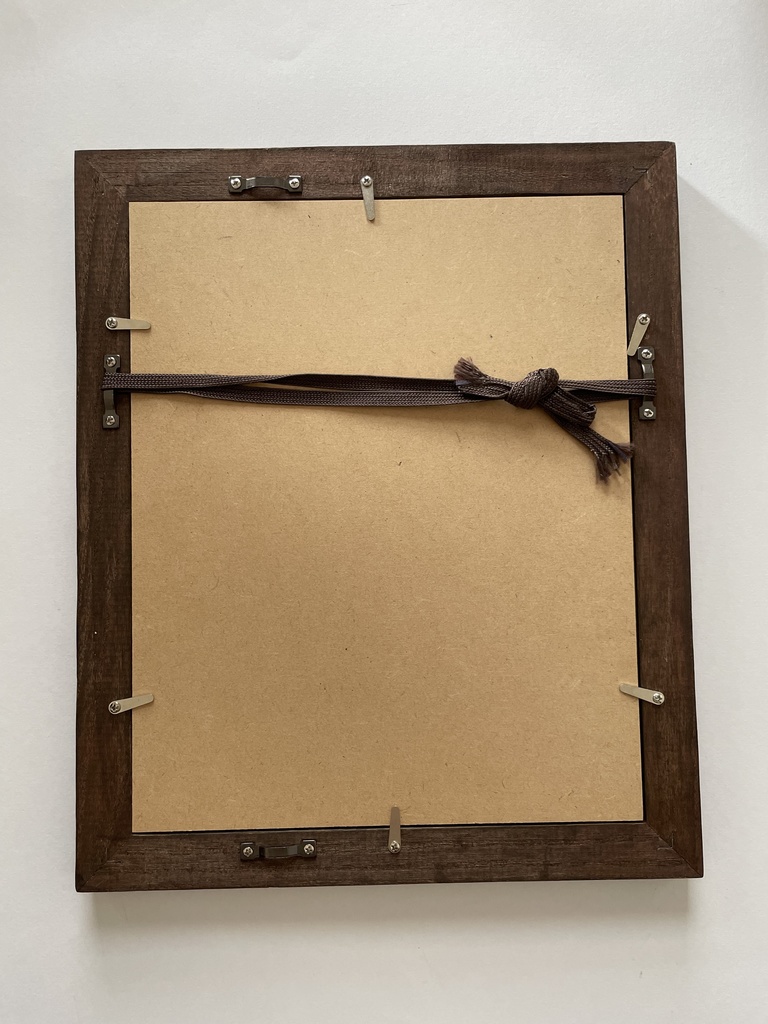 【額装原画】花人C -specimen-