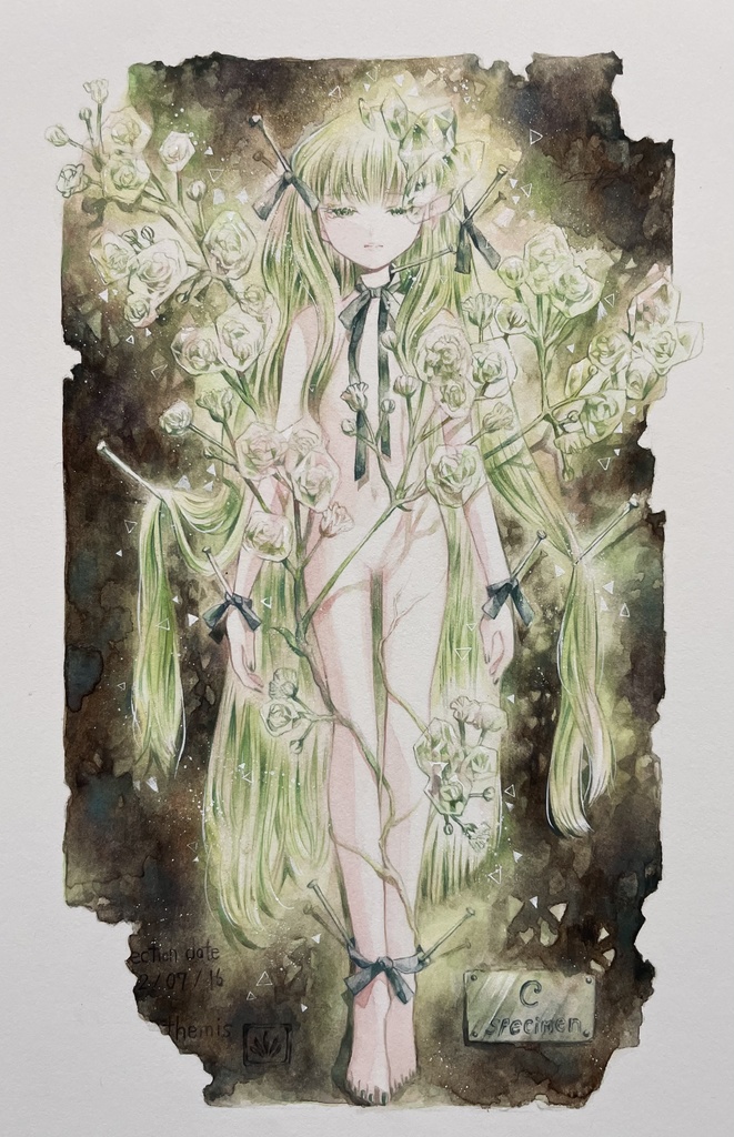 【額装原画】花人C -specimen-