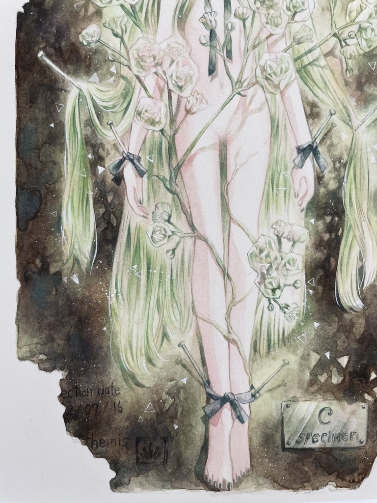 【額装原画】花人C -specimen-