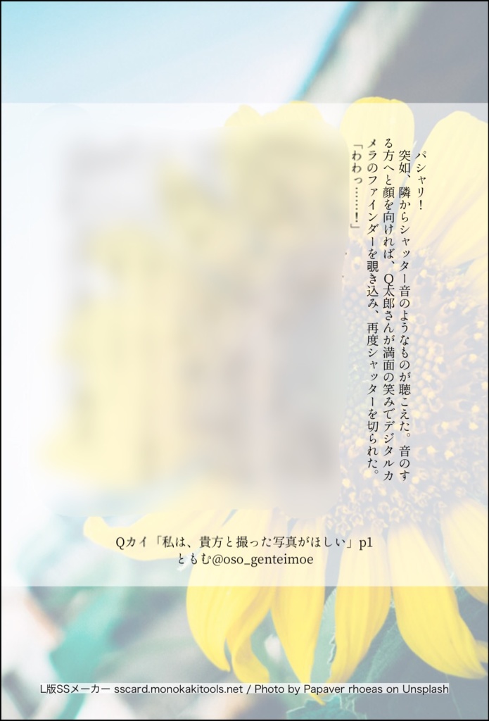 QカイSS3種セット