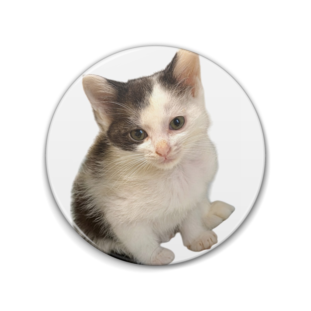 バニラちゃんオリジナル缶バッジ