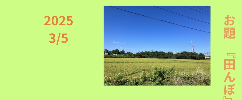 俳句ペーパーNO5