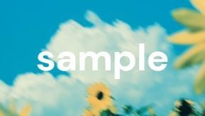 番号: ed41 ひまわり sunflowers
