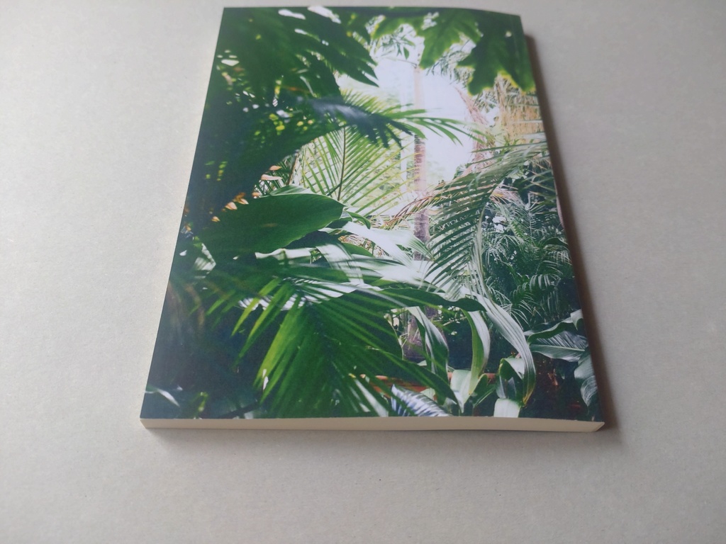 宙返りバンコク