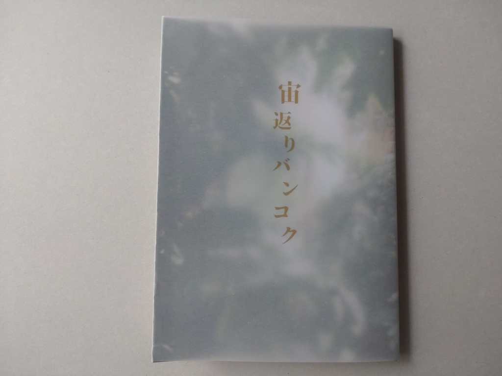 宙返りバンコク