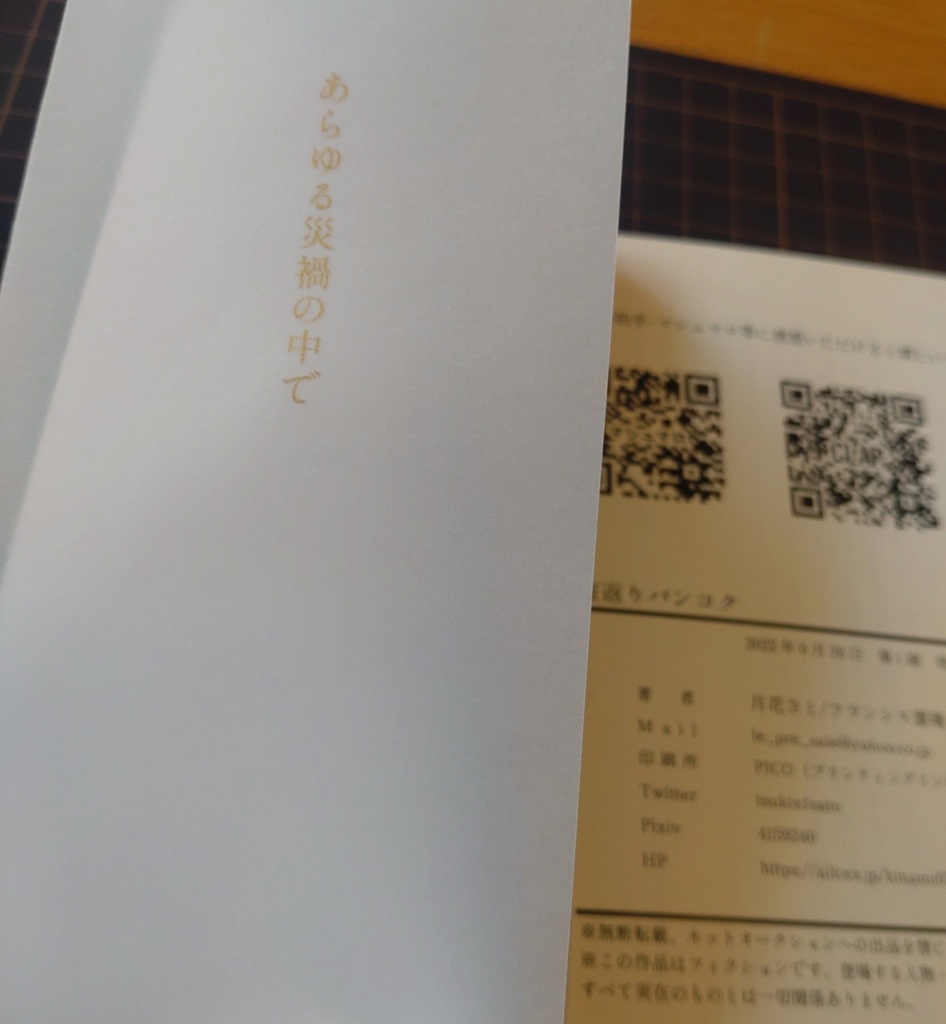 宙返りバンコク