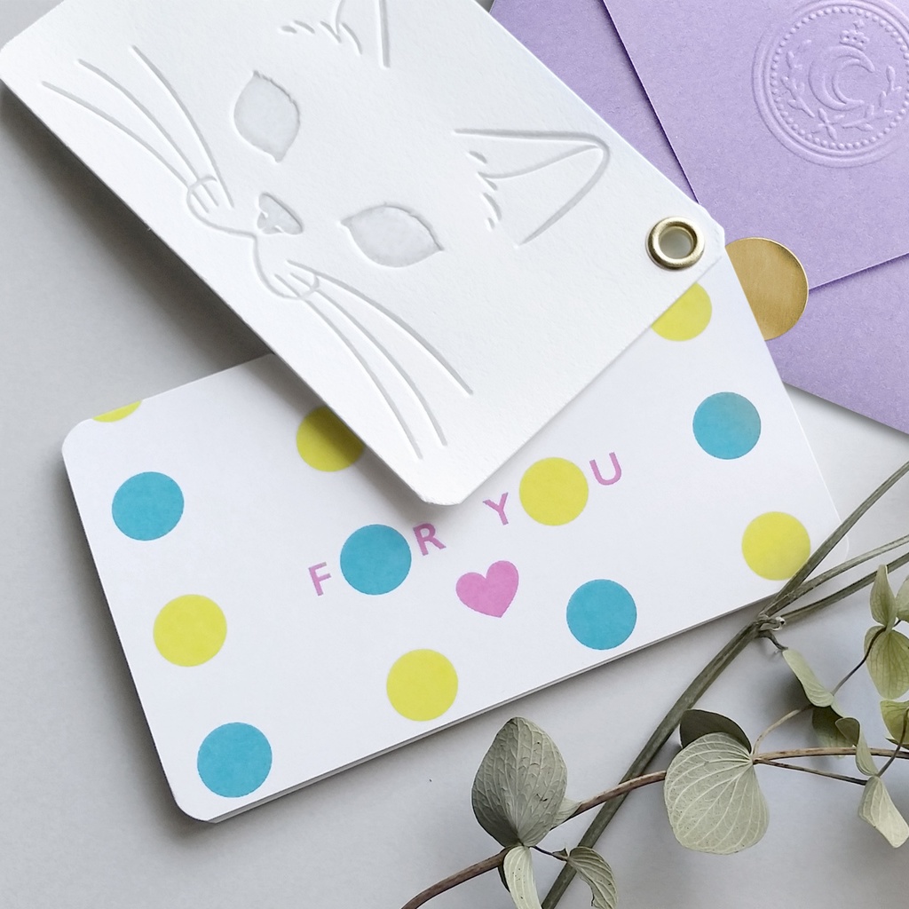 パチカ猫の2枚組メッセージカード