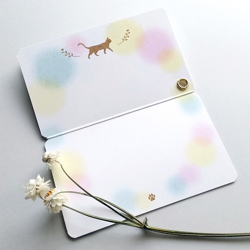 パチカ猫の2枚組メッセージカード