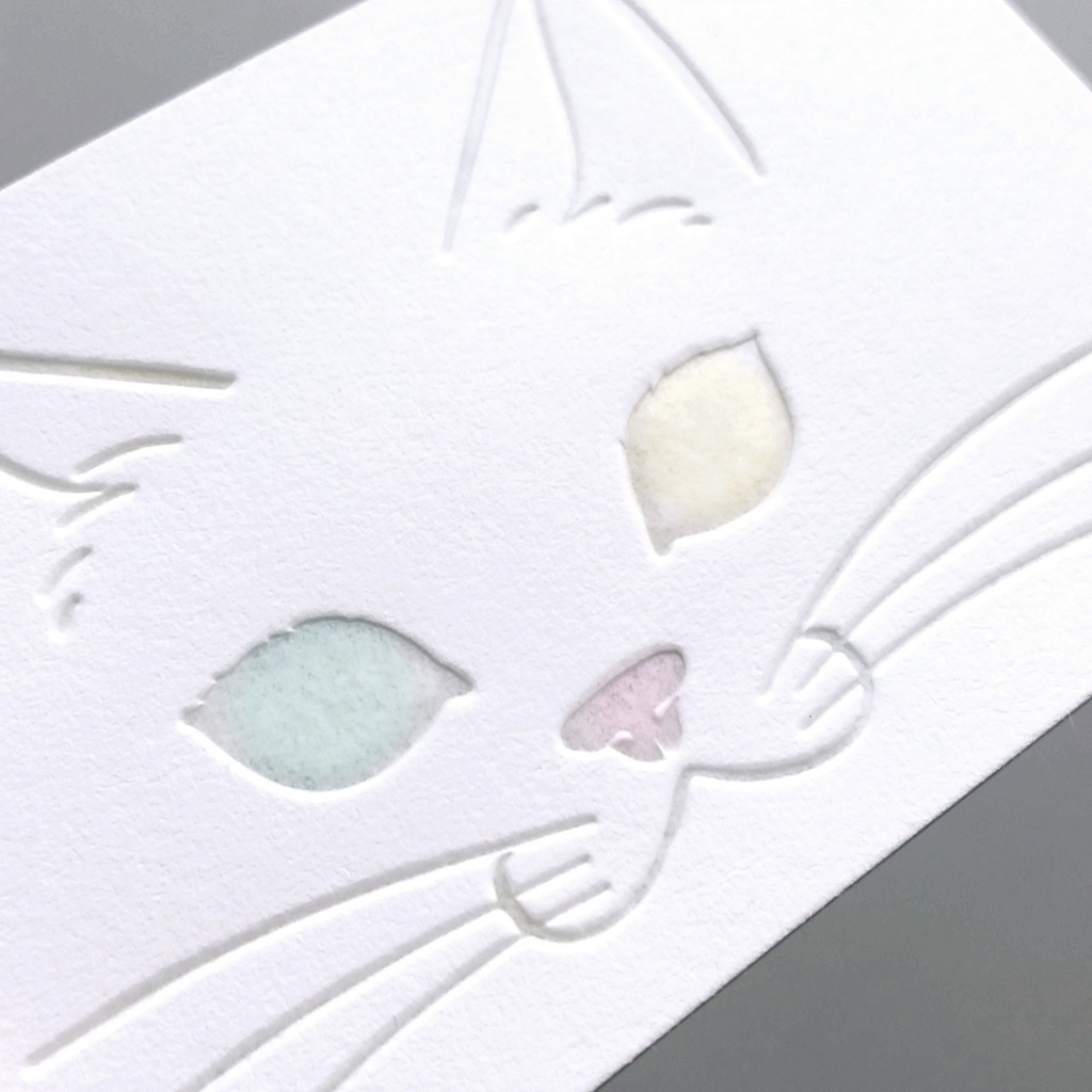 パチカ猫の2枚組メッセージカード