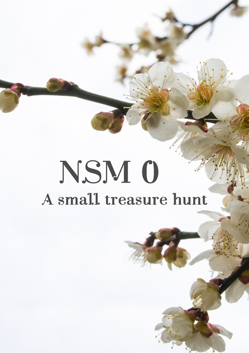 NSM0  A small treasure hunt【月刊MPS2018年３月号】
