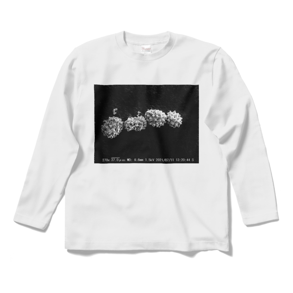 ウニ骨片Tシャツ(金平糖型骨片/マンジュウウニ)