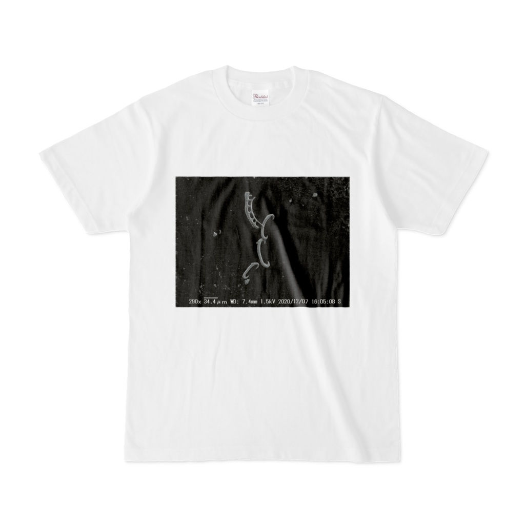 ウニ骨片Tシャツ(メリケンサックCCC/シロウニ)