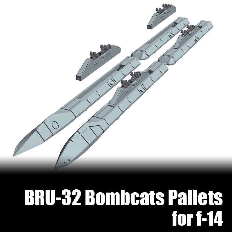 ボムキャット用胴体パイロン+bombラック F-14D用  [1/144scale]