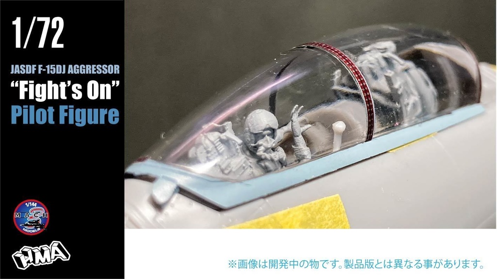 717 F15DJ アグレッサーパイロット (国内送料無料)