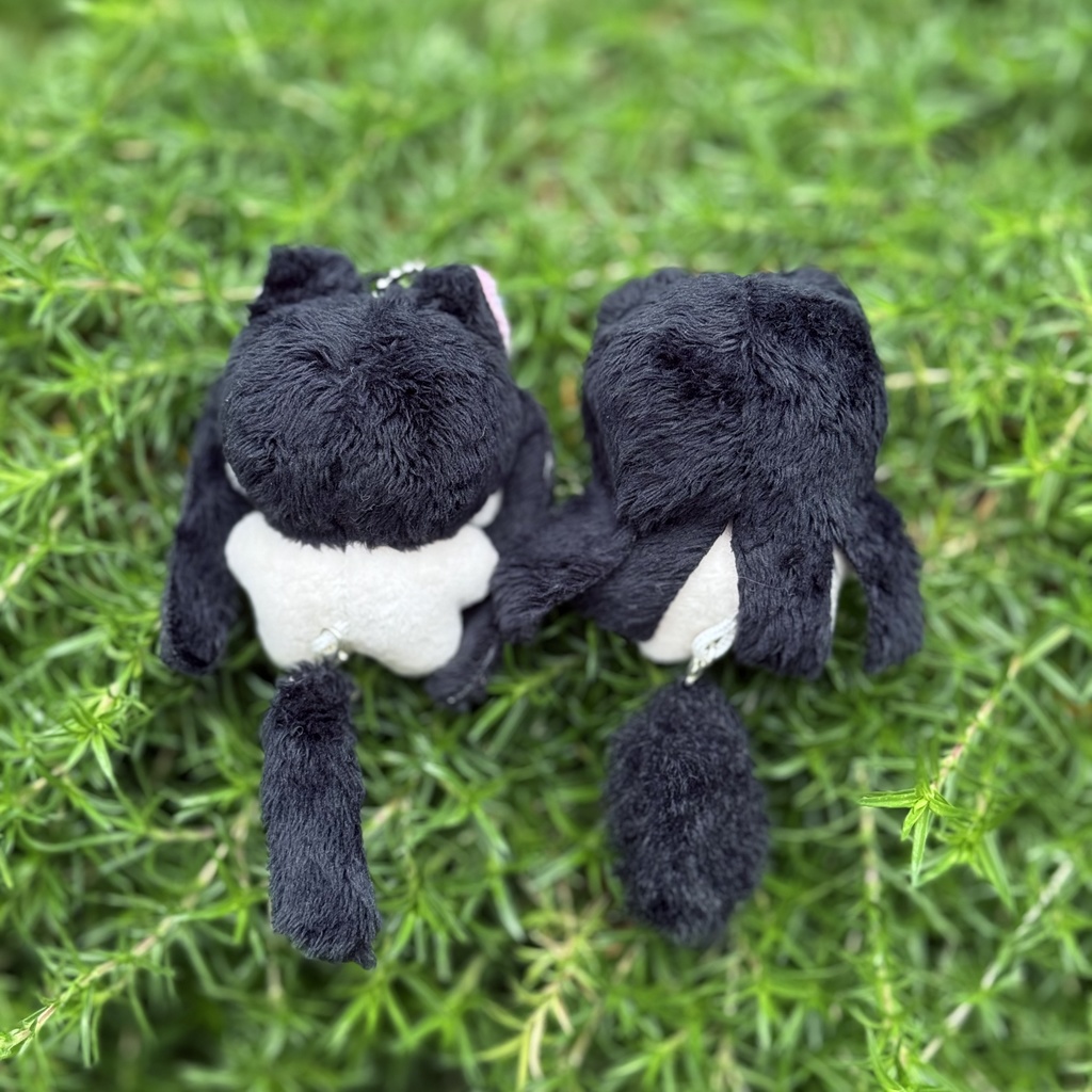 リジェ🩷🐈、アーチェ❤️🐈