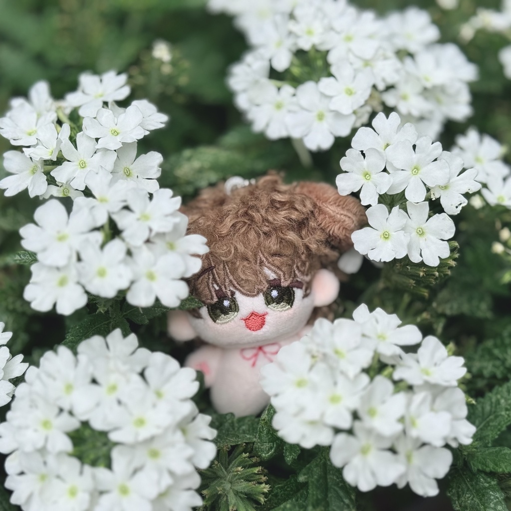Toffia-トフィア-