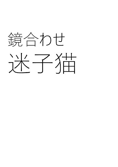 鏡合わせ 迷子猫