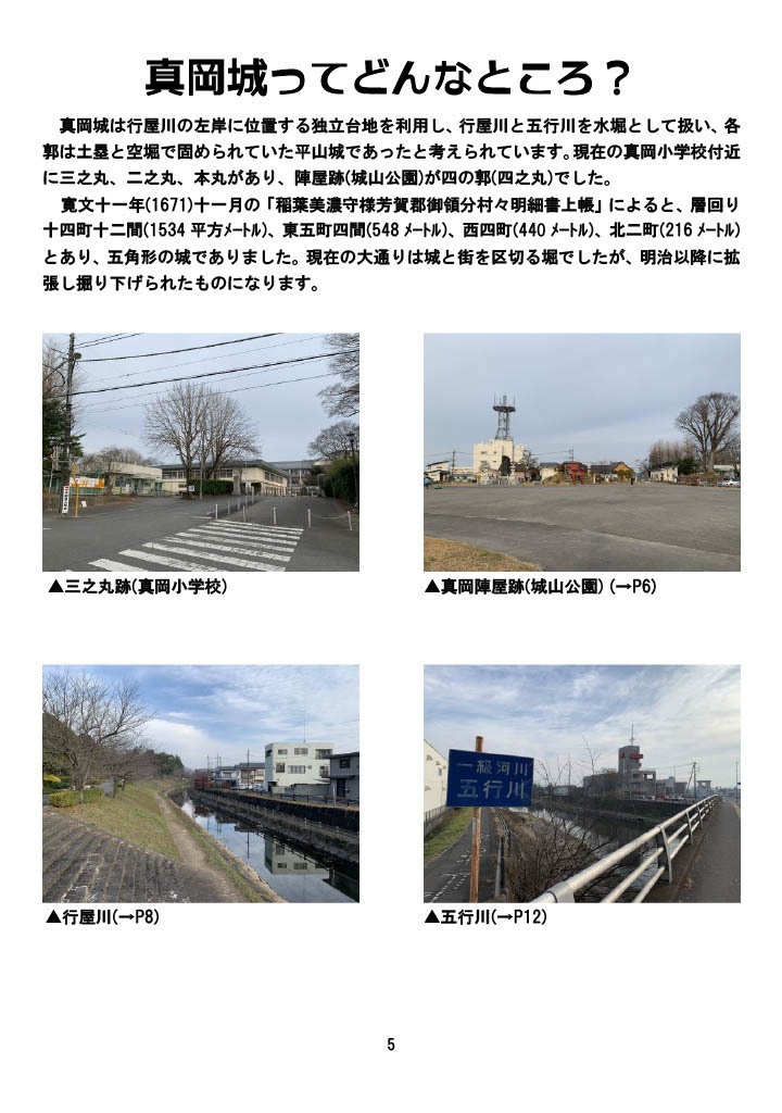 城娘巡礼帖 真岡城・飛山城